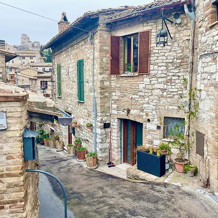 Apartment Augio New